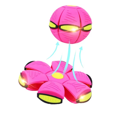 Flying Saucer-Ball Pet Toy