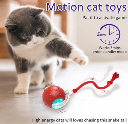 SmartKitty™ Motion Ball Toy