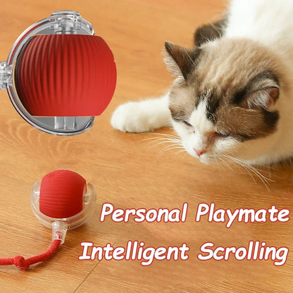 SmartKitty™ Motion Ball Toy