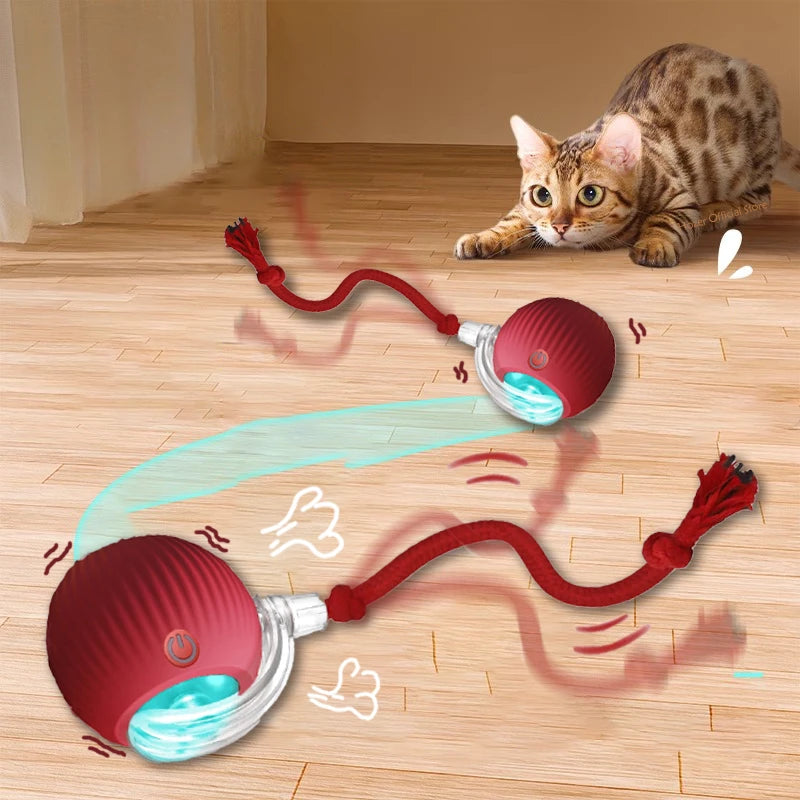 SmartKitty™ Motion Ball Toy