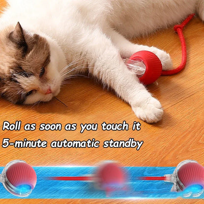 SmartKitty™ Motion Ball Toy