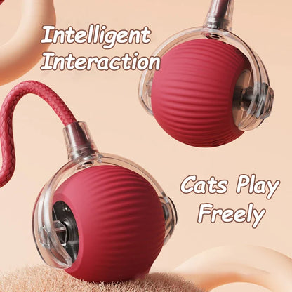 SmartKitty™ Motion Ball Toy